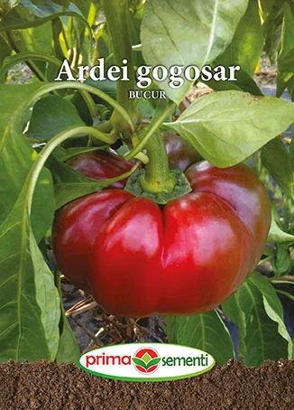 Seminte Ardei Gogosar Bucur 0.15g - Soi Romanesc Foarte Carnos Dulce si Productiv