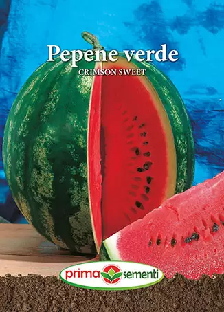 Seminte Pepene Verde Crimson Sweet 2g - Soi Dulce Zemos si Foarte Productiv