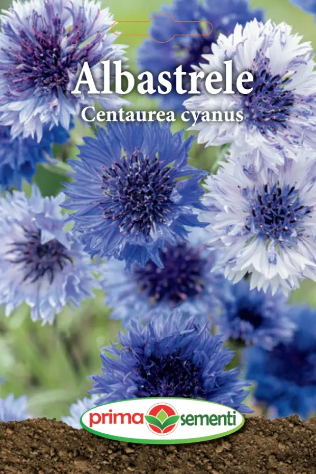 Seminte Flori Albastrele 1g - Flori Albastre Ornamentale pentru Gradina