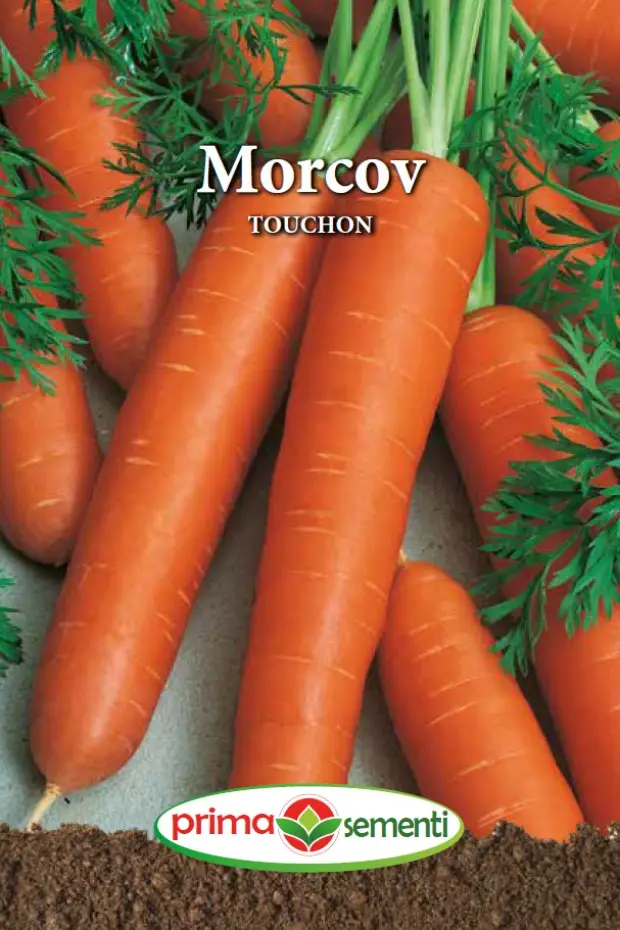 Seminte Morcov Touchon 5g - Soi Francez Traditional Cilindric Foarte Dulce si Fara Miez Lemnos