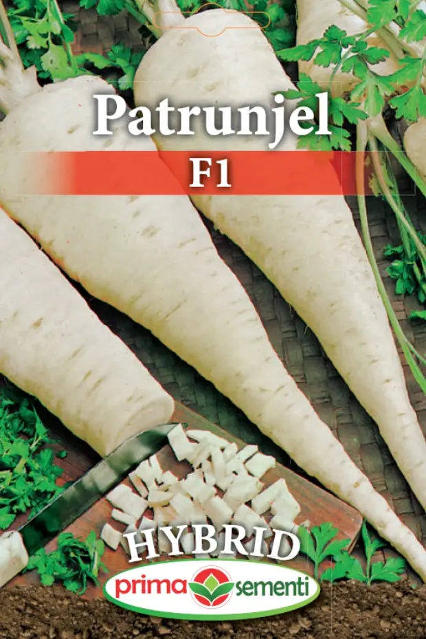 Seminte Patrunjel de Radacina F1 30g - Hibrid Profesional Productiv Alb Imaculat si Uniform