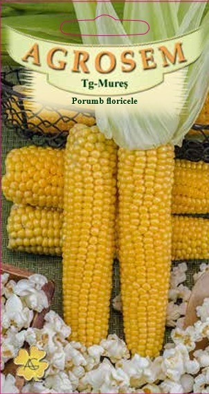 Seminte Porumb Floricele 10g Agrosem - Porumb pentru Popcorn de Calitate