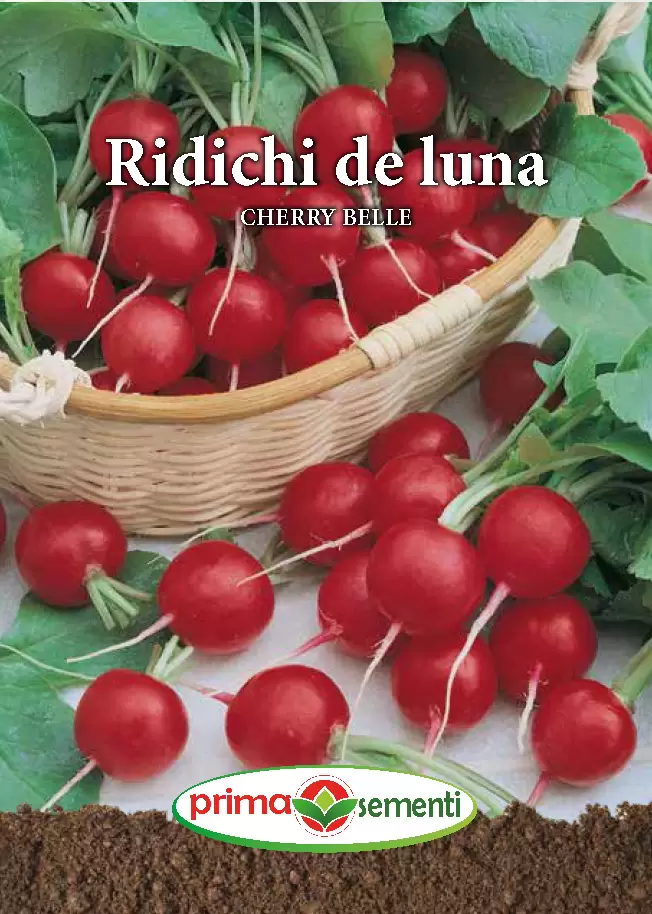 Seminte Ridichi de Luna Cherry Belle 6g - Soi Timpuriu Crocant si Foarte Productiv