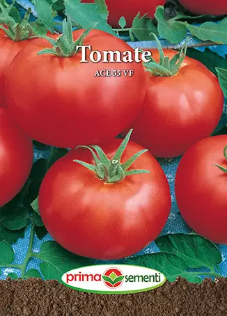 Seminte Tomate Ace 55 VF 0.7g - Soi Determinat Rezistent cu Fructe Mari si Aciditate Redusa