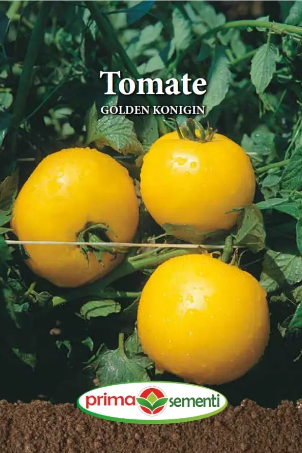 Seminte Tomate Golden Konigin 0.3g - Soi Clasic Galben Dulce si Productiv