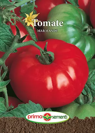 Seminte Tomate Marmande 0.7g - Soi Clasic Frantuzesc cu Fructe Mari si Gust Autentic