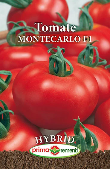 Seminte Tomate Montecarlo F1 0.5g - Hibrid Profesional Nedeterminat Foarte Productiv si Gustos