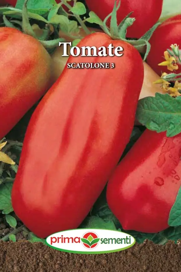 Seminte Tomate Scatolone 3 0.3g - Soi Italian pentru Sosuri si Umplut