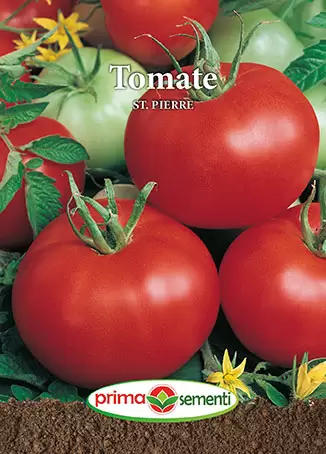Seminte Tomate St Pierre 0.7g - Soi Traditional Frantuzesc Foarte Productiv