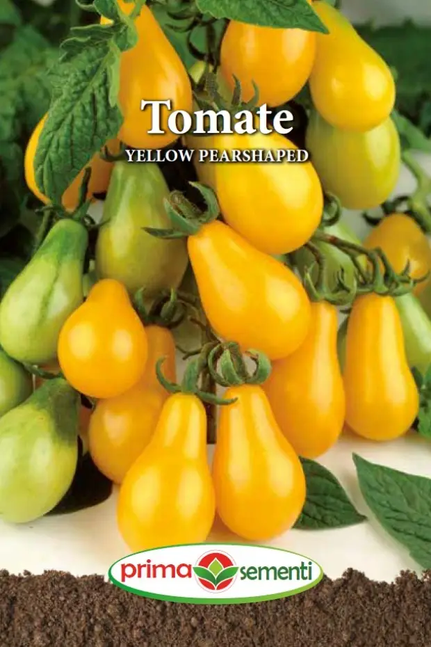 Seminte Tomate Yellow Pearshaped 0.3g - Rosii Cherry Galbene tip Para Foarte Dulci