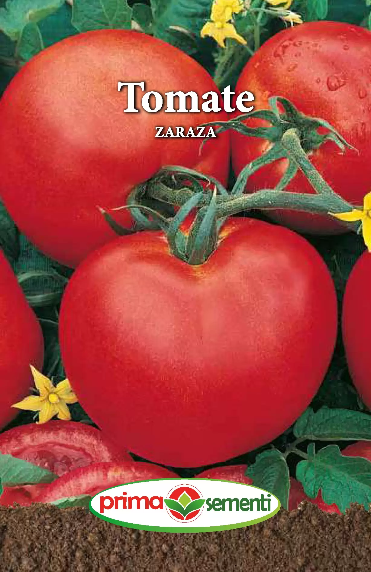 Seminte Tomate Zaraza 0.3g - Soi Romanesc Traditional cu Gust Autentic