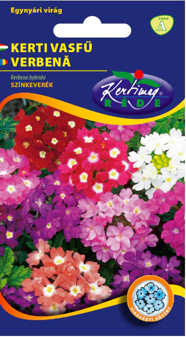Verbena Colorata - Inflorire Continua pe Tot Sezonul
