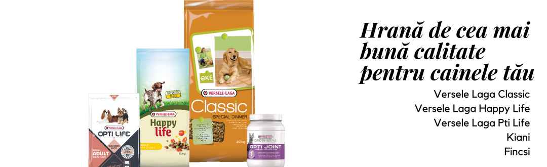 Hrana uscata si umeda pentru caini