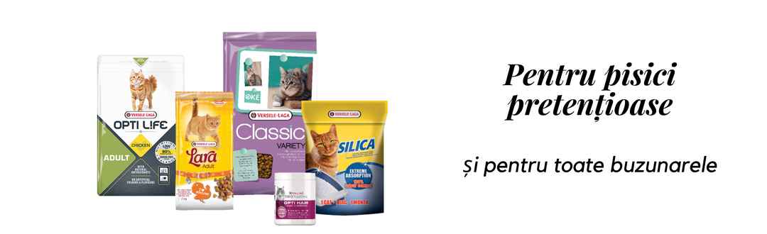 Hrana de cea mai buna calitate pentru pisici mofturoase