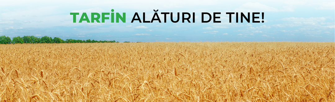 Cumperi acum, platesti la recolta