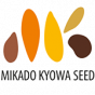 Mikado