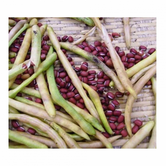 Fasole Mung Teodora 40 g [2]
