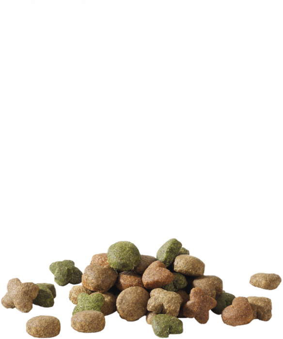 Hrana uscata pentru caini Versele-Laga Happy Life adult  cu aroma de miel 3 kg [2]