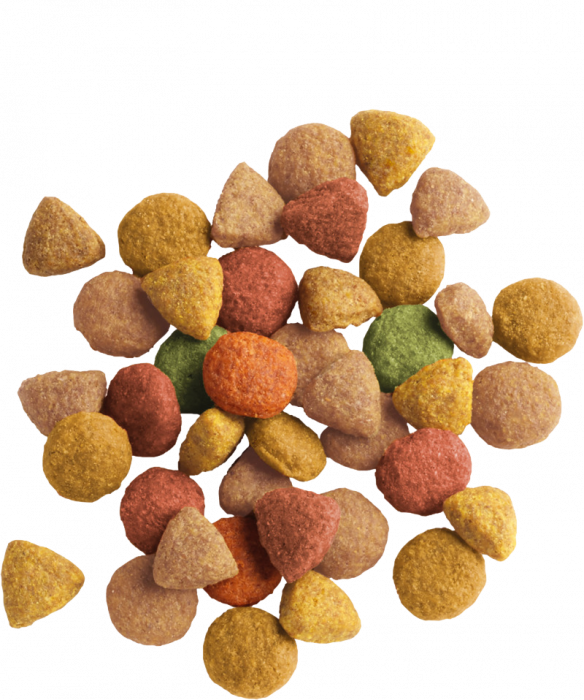 Hrana uscata pentru pisici Lara Adult 2 kg cu pui si curcan [2]