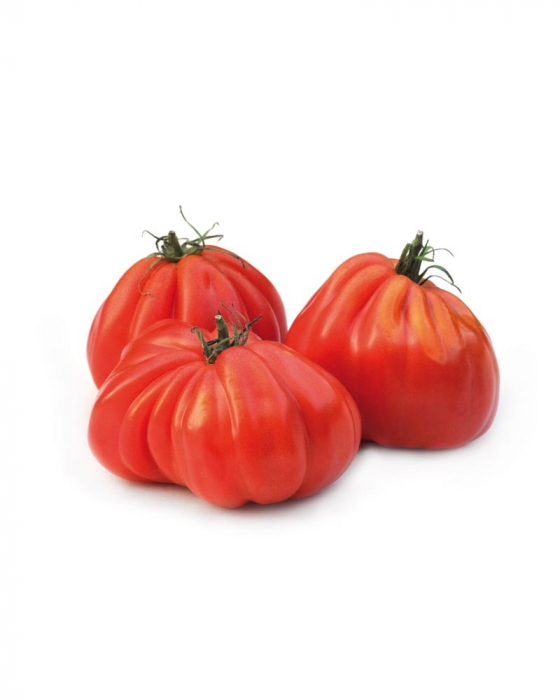 Seminte de tomate Arawak F1 500 seminte [2]