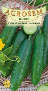 Castraveti - Castraveţi semilungi - Marketmore 1.5 g