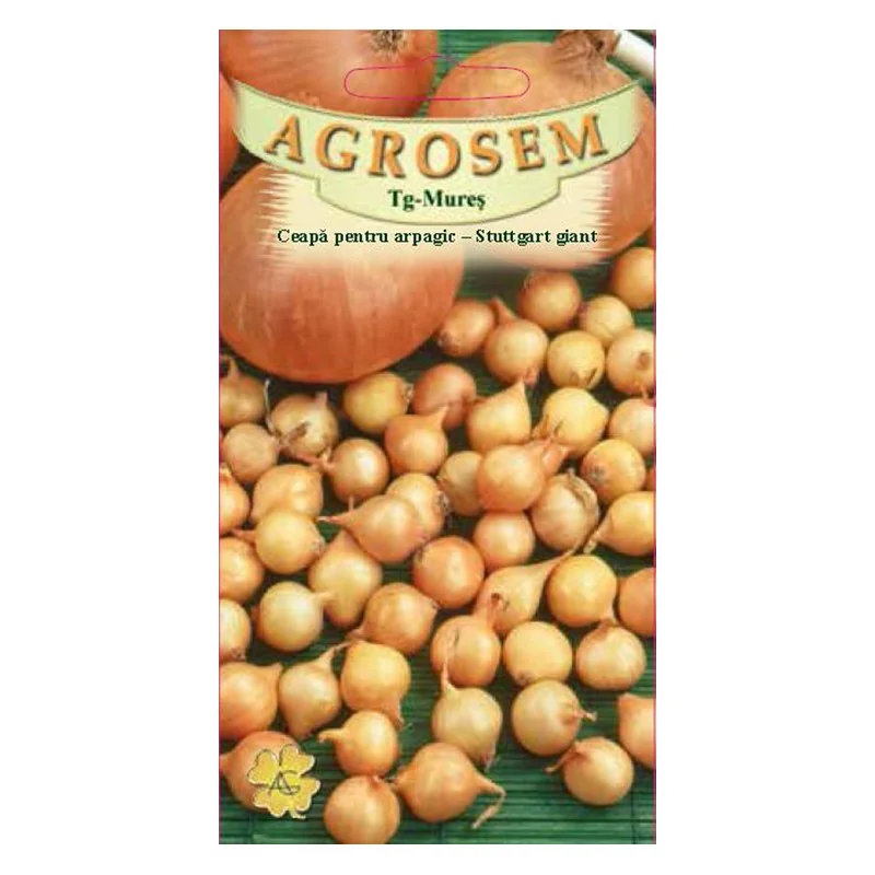Ceapa - Ceapă arpagic - Stuttgart Giant 1.5 g