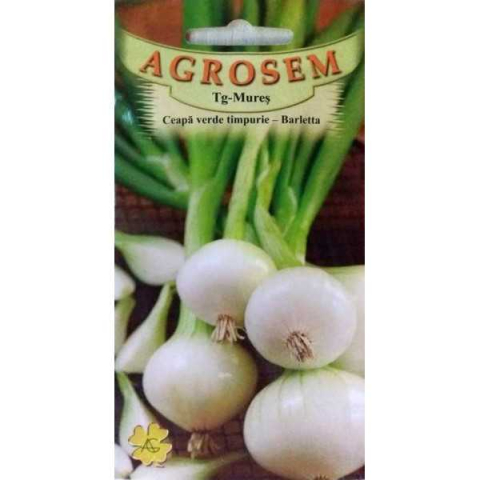 Ceapa - Ceapă verde timpurie Barletta 1g