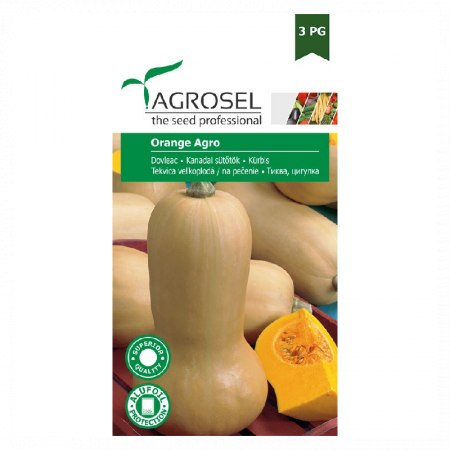 Dovleac - DOVLEAC DE COPT ORANGE AGRO 1000 SEM