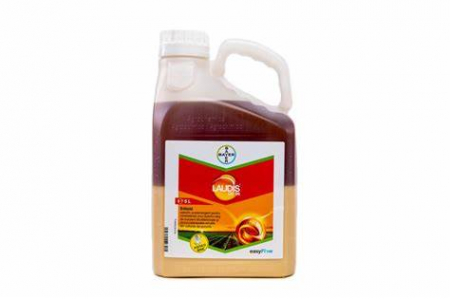 Fitofarmaceutice - Erbicid Laudis 66OD 5L