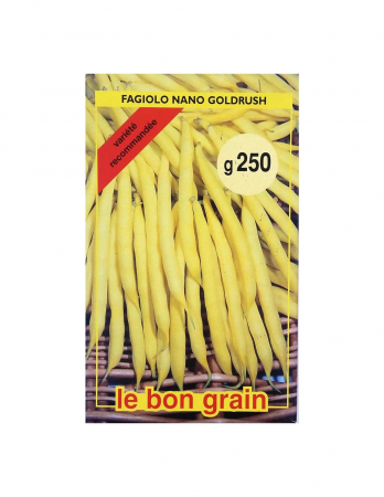 Fasole - Fasole Berggold - RACI Sementi