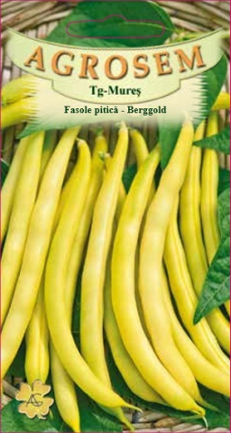Seminte de legume - Fasole pitică - Berggold 10 g