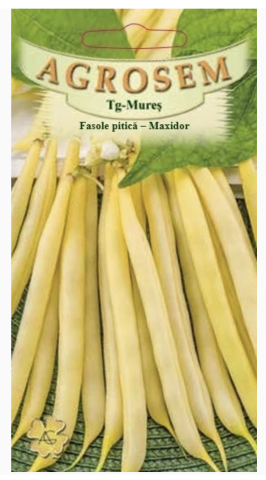 Seminte de legume - Fasole pitică -Maxidor 10g