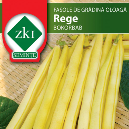 Fasole - Fasole REGE 75 g - ZKI