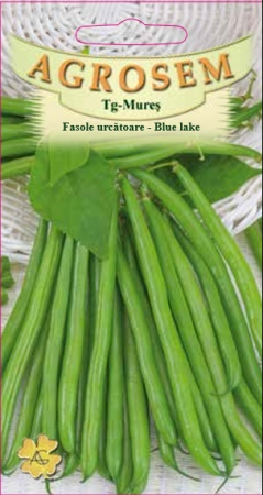 Fasole - Fasole urcătoare - Blue Lake fideluta verde 10 g