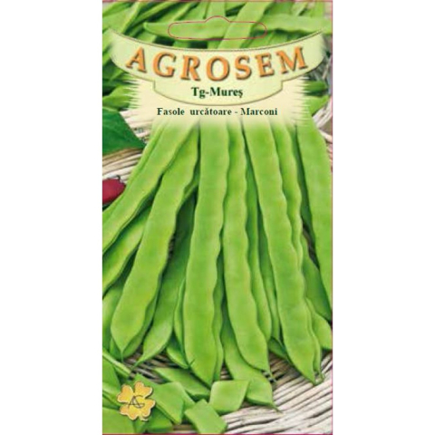 Fasole - Fasole urcătoare - Marconi 10 g