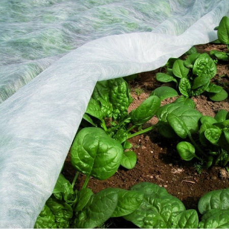 Folii si plase agricole - Folie microporoasa AGRYL 17 g/mp