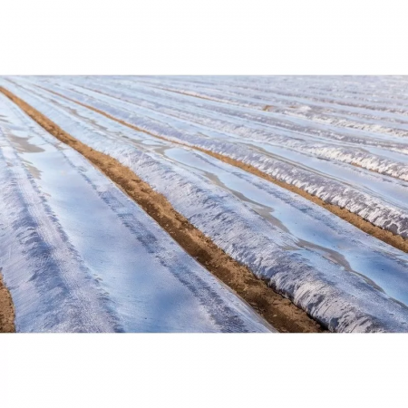 Folii si plase agricole - Folie mulcire transparenta Polyclear 15 microni 1.2 x 1500m
