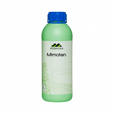 Fitofarmaceutice - Fungicid Mimoten 1 L - Atlantica