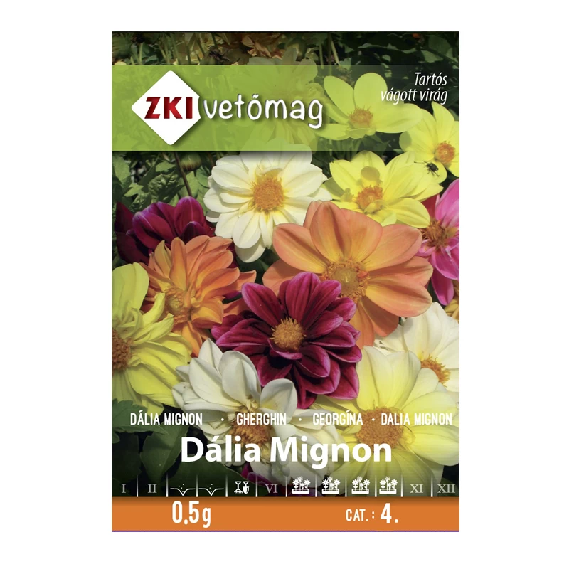 Seminte si bulbi de flori - Gherghina amestec de culori seminte de flori 0.5 G