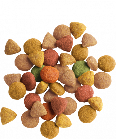 Hrana uscata pentru pisici Lara Adult 2 kg cu pui si curcan [1]