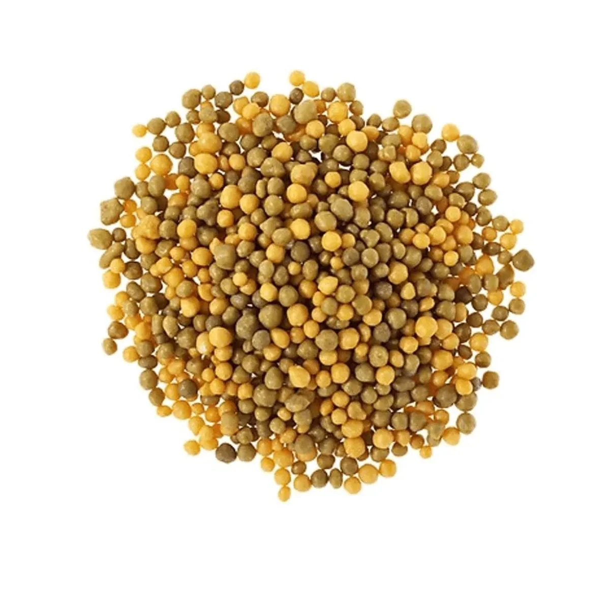 Ingrasaminte de baza - Ingrasamant OSMOCOTE START 11-11-17, 1.5 luni, 1 KG