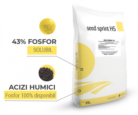 Ingrasamant Seed Sprint H1  25 kg [1]