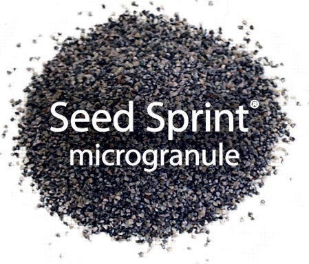 Ingrasamant Seed Sprint H5  25 kg [1]