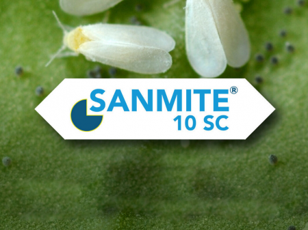 Fitofarmaceutice - Insecticid Sanmite 10SC