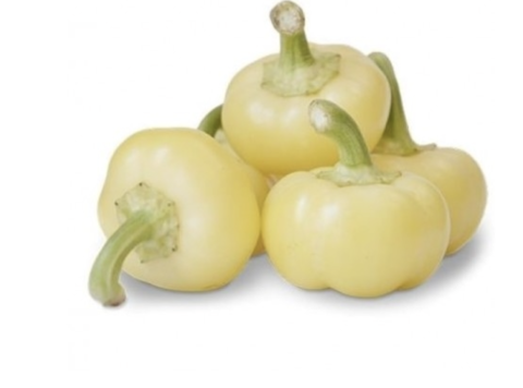 Ardei - ISPAN F1 Seminte de ardei tip mar 500 sem