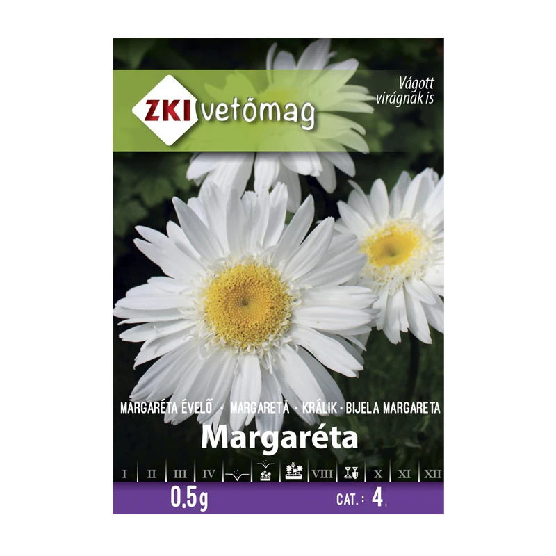 Seminte si bulbi de flori - Margareta alba perene Seminte de flori 0.5 g