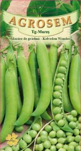 Mazare - Mazăre de grădină - Kelvedon Wonder 20 g