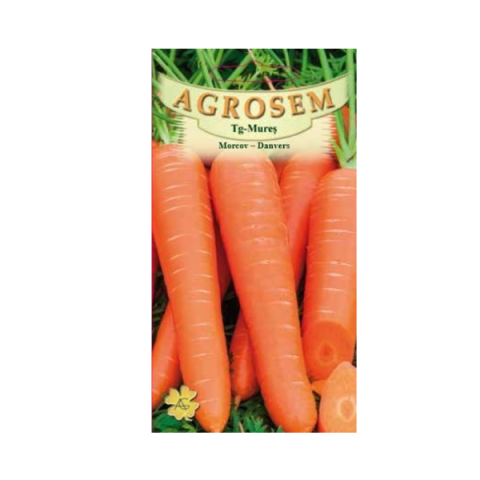 Morcov - Morcov - DANVERS 4 g