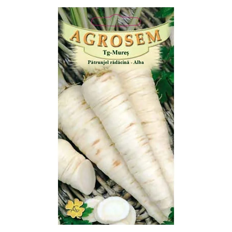 patrunjel - Pătrunjel rădăcină -Alba 4 g