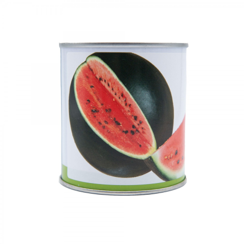 Pepene verde SUGAR BABY 25 g PPZ [1]